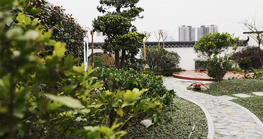 現(xiàn)場參觀花園實景